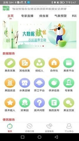 烟台仙果APP免费资讯平台下载