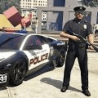 边境警察巡逻模拟器游戏安卓版下载