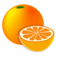 柑橘阅读app安卓版