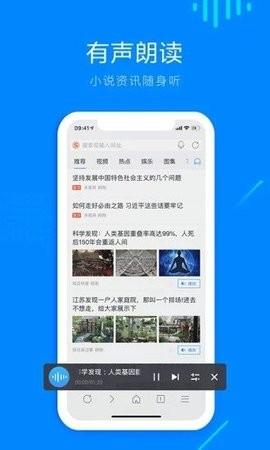 safari浏览器app中文版