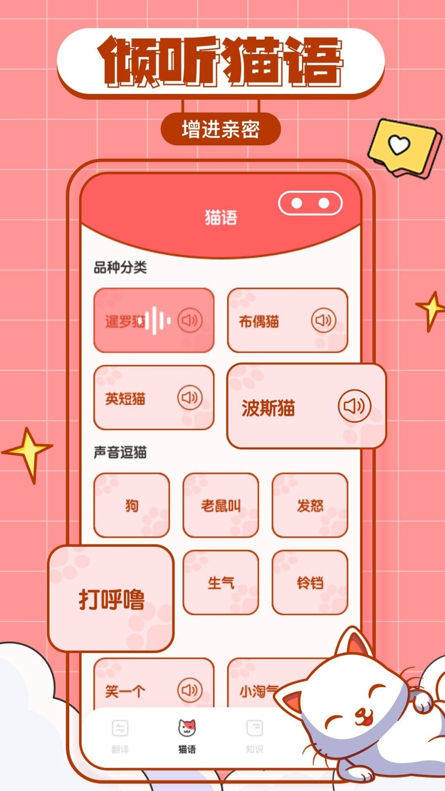 猫咪翻译物语app安卓版下载