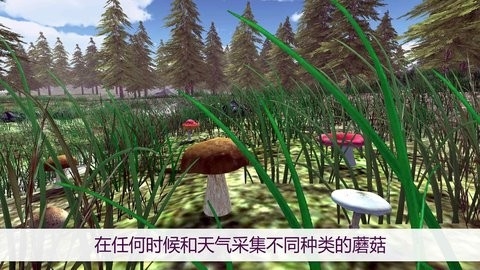 真实采蘑菇模拟器免费购买版下载