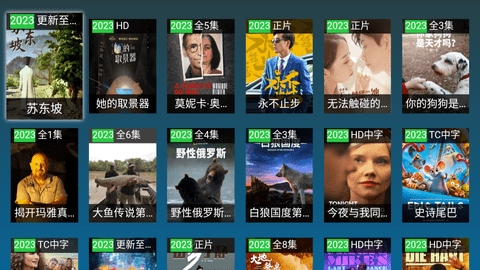 黑枫TVapp电视盒子最新版