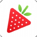 草莓直播app下载