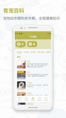 猫语狗语翻译交流器app下载