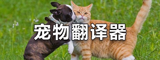 宠物对话翻译器免费下载