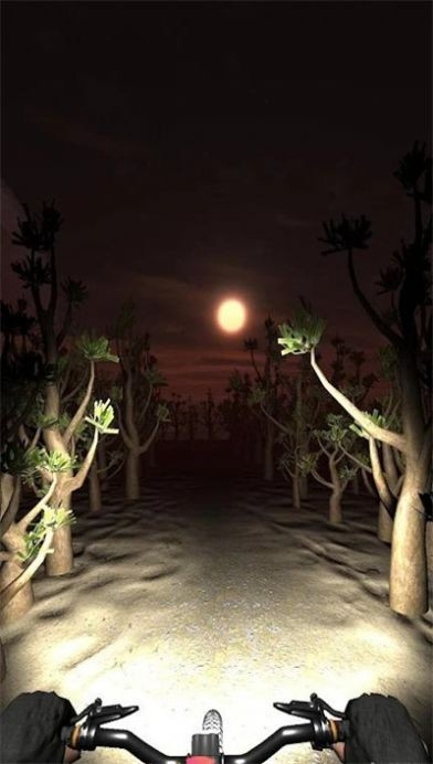 夜骑模拟器游戏安卓版下载