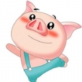 猪猪影视app安卓版下载