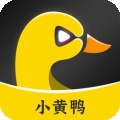 小黄鸭直播app