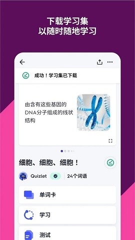 Quizlet官方版免费版