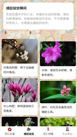 花汇趣看app下载