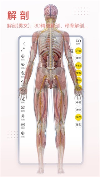 3Dbody解剖免费版下载