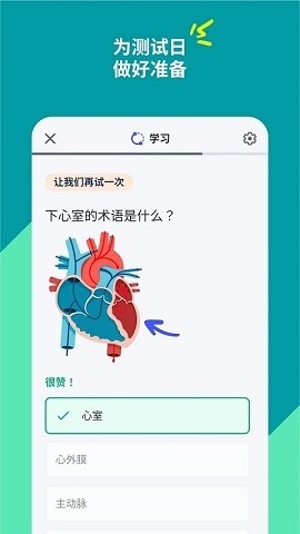 Quizlet官方版免费版