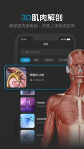 3D肌肉解剖软件下载