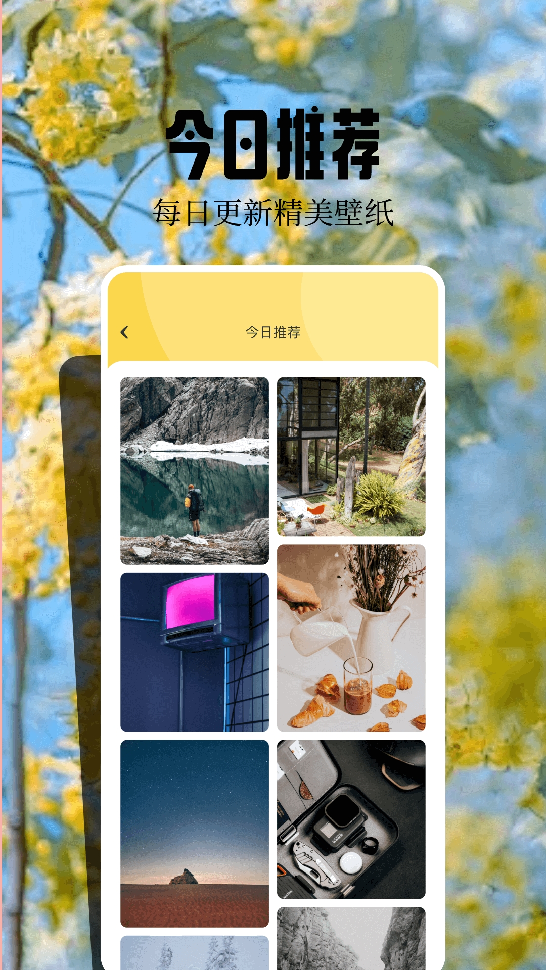 魔秀壁纸app官方版下载