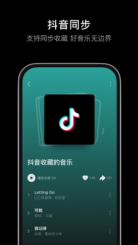 汽水音乐BYD车机版