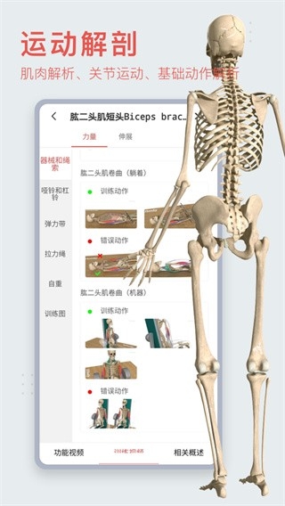 3Dbody解剖免费版下载