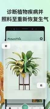 PictureThis植物识别app下载