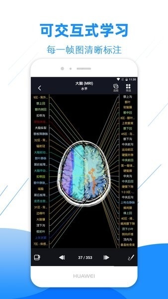 影像解剖图谱app破解版下载