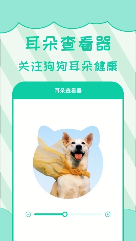 宠物人狗翻译软件下载