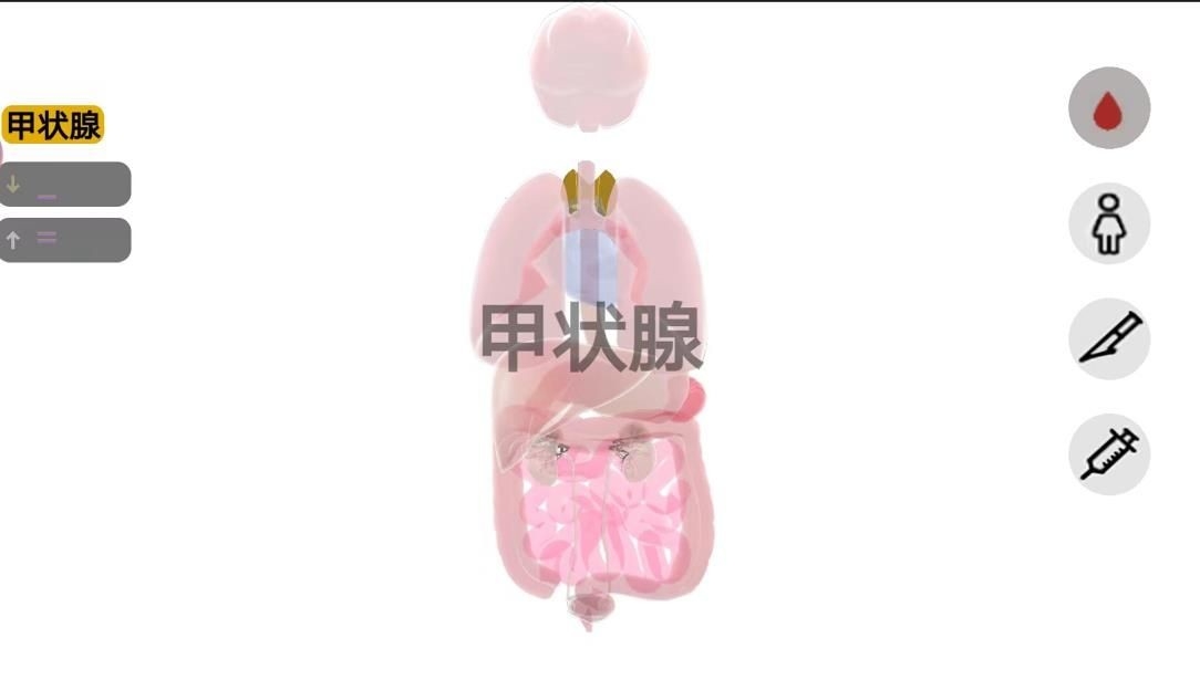 人体细胞模拟器最新版下载