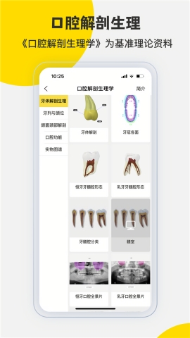 3Dbody解剖免费版下载